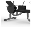 FW-2007 Assist Abdominal Bench