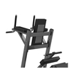 FW-2027 Abdominal Extension
